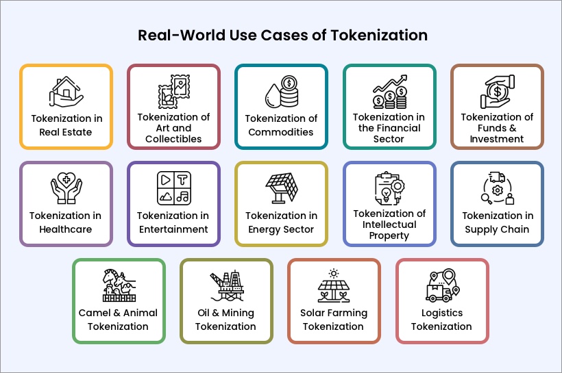 Exploring Diverse Real-World Use Cases of Tokenization